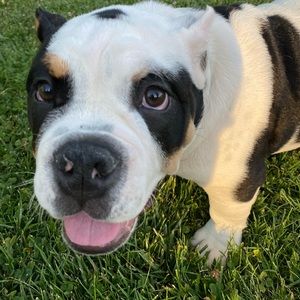 Meet your Posher, Bishop